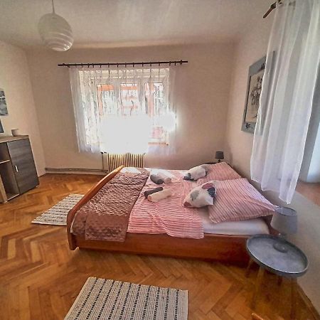 Apartmán Isabel Decin Kültér fotó